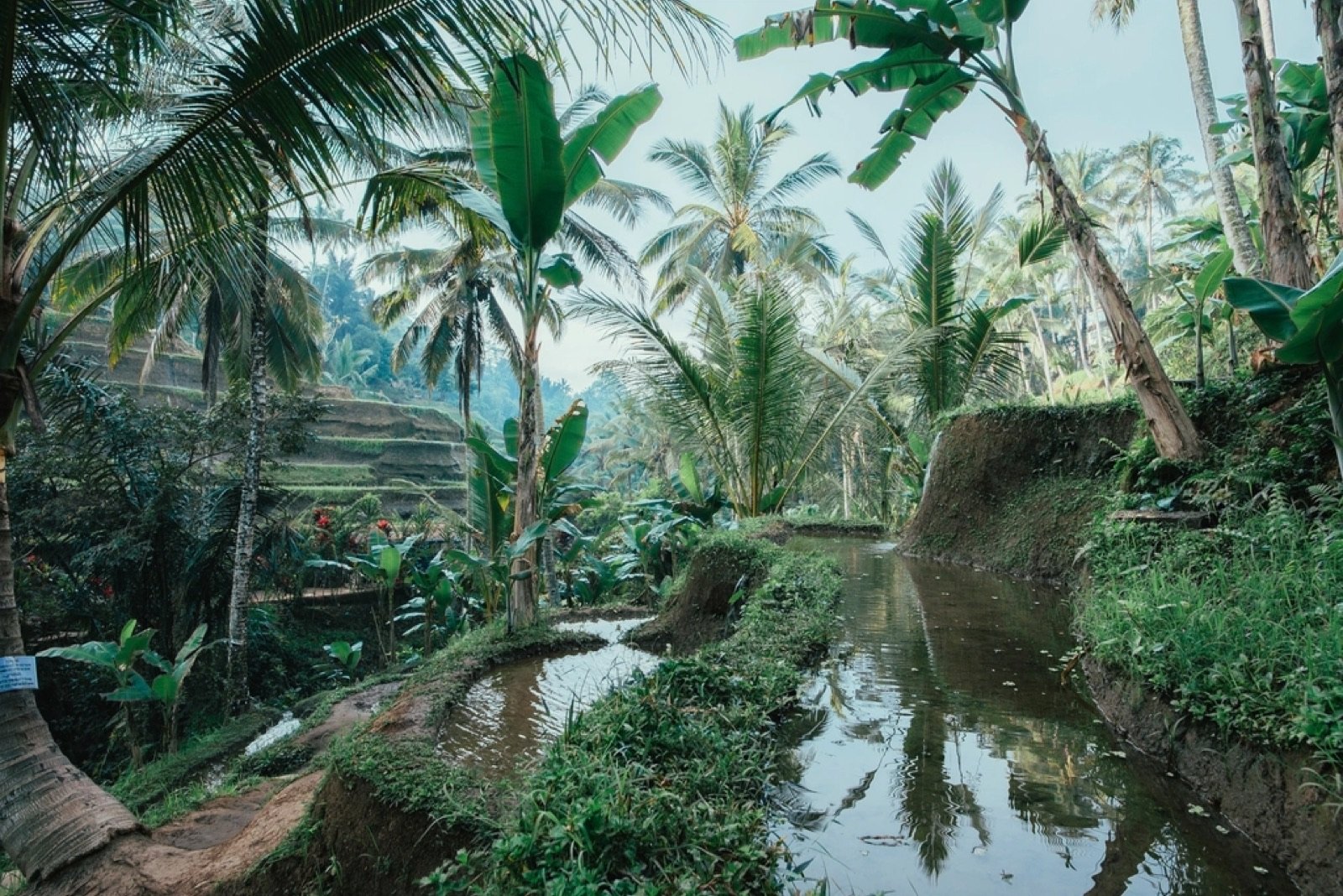 Canggu