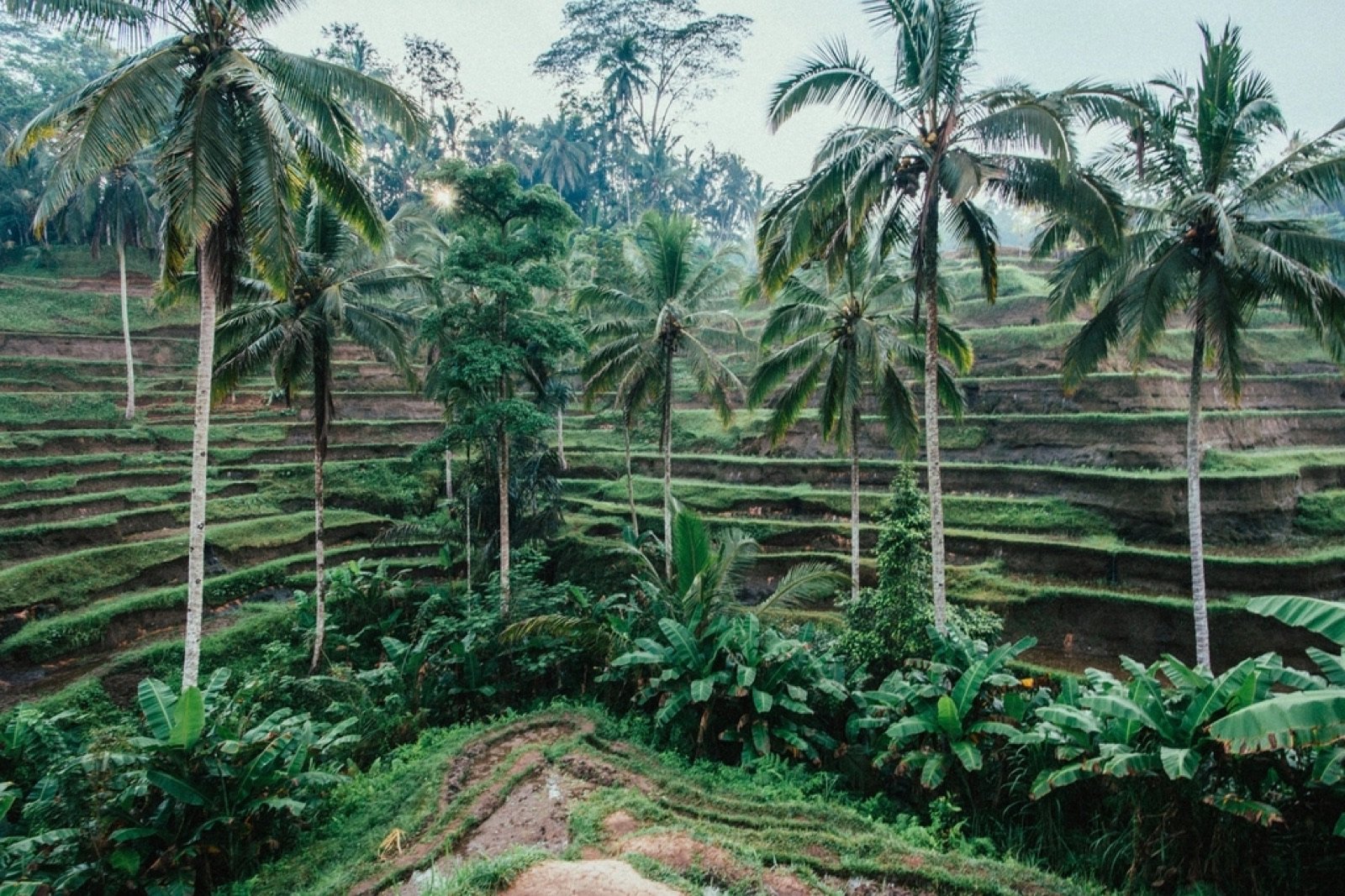 Ubud