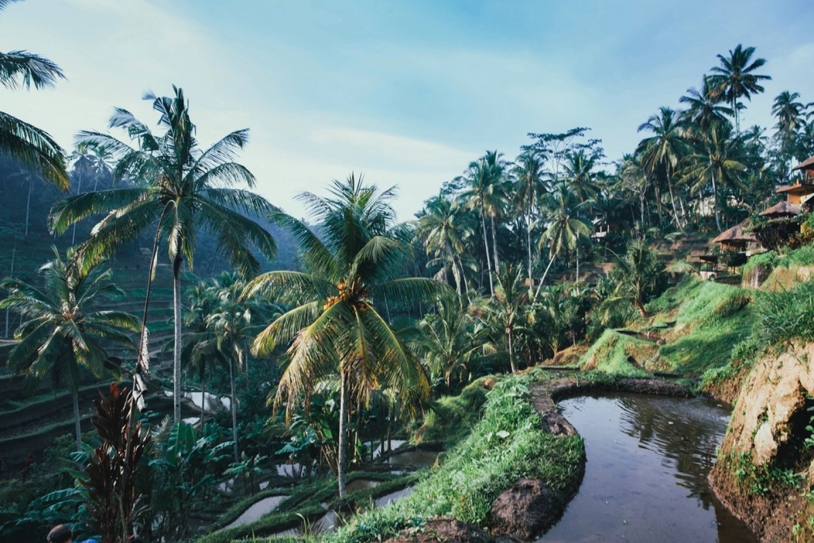 Villa Kembang – photo 2